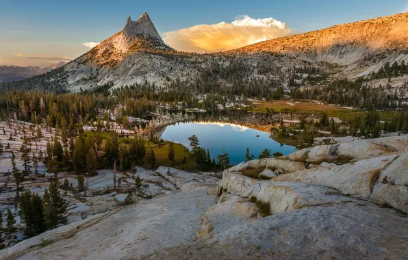 Trees, nature, lake, mountain