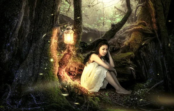 Forest, girl, trees, lantern