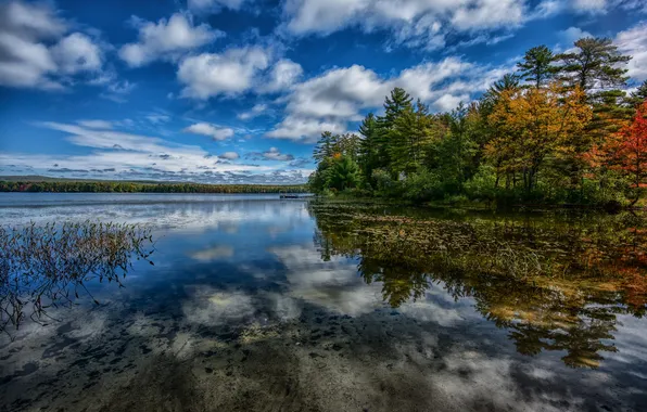 Picture autumn, forest, the sky, clouds, trees, lake