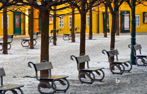 Snow, trees, Prague, Czech Republic, alley, bench, Kampa island