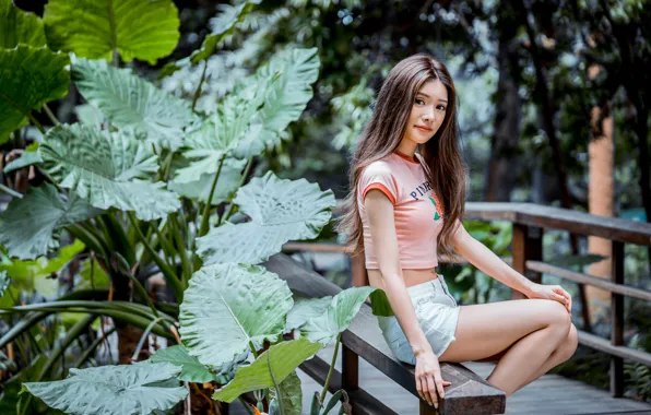 Look, girl, hair, Asian, cutie, bokeh