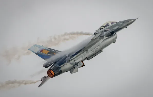 The sky, the plane, combat, the gray sky, F-16A