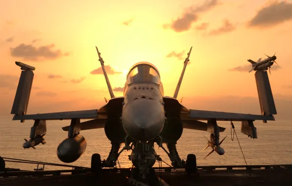 Picture hornet, F/A-18, Hornet, McDonnell Douglas