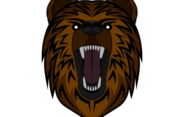 Picture Teeth, White background, Bear, Fangs, Face, Roar, Grin, Growling