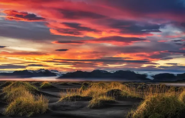 Picture sea, the sky, shore