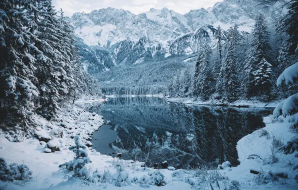 Winter, forest, snow, mountains, nature, lake