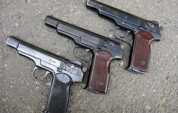 Picture three, automatic pistol, APS, Stechkin
