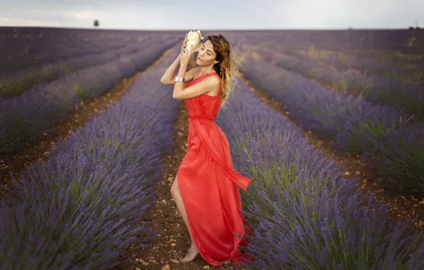 Field, girl, mood, shell, red dress, lavender, Veronika Castrillo