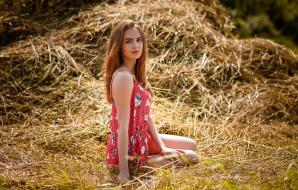 Look, girl, pose, hay, Alexey Gilev, Alexey Gilev