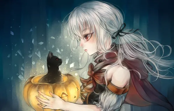 Picture cat, girl, holiday, anime, art, Halloween, pumpkin, cloak