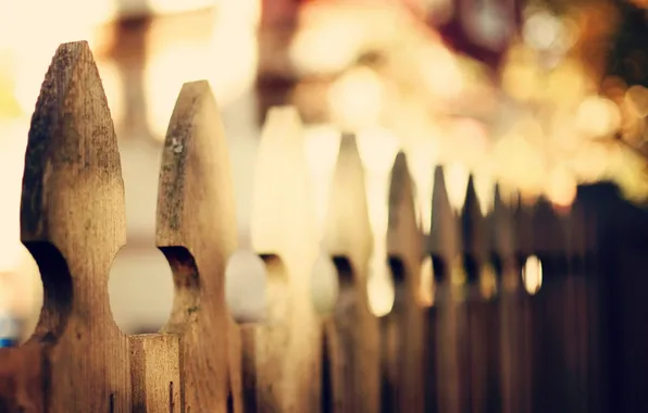 Picture autumn, color, macro, photo, the fence, blur, wooden, wallpapers
