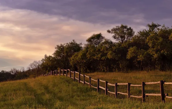Grass, trees, photo, landscapes, fences, Wallpaper for desktop