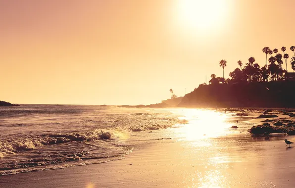 Sea, landscape, sunset