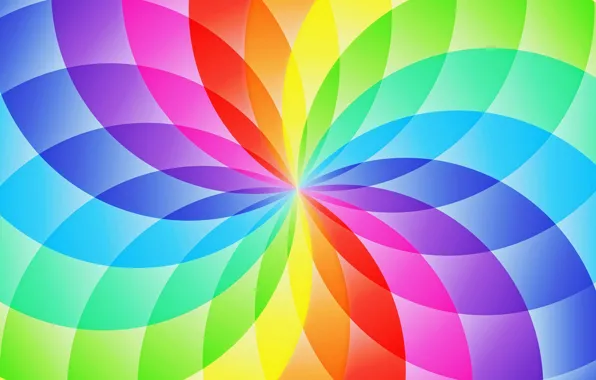 Flower, abstraction, pattern, round, rainbow, petals, sector