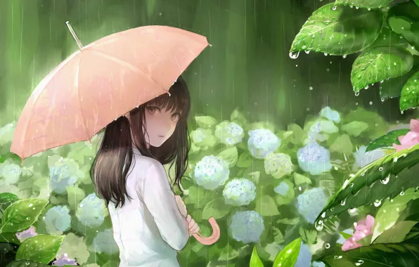Leaves, drops, rain, umbrella, girl, hydrangea, sankarea