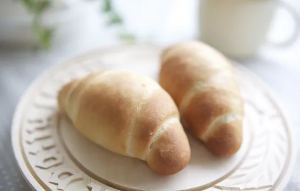 Background, food, bread