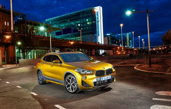 BMW, BMW, crossover, F39, X2 M