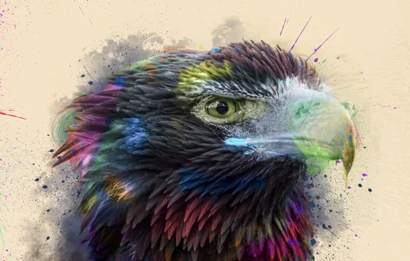 Picture squirt, paint, hawk, by 0l-Fox-l0