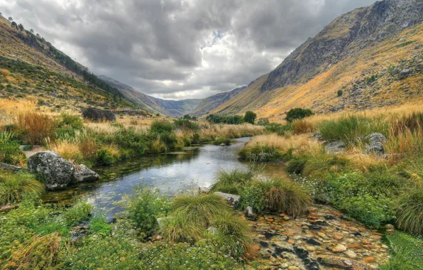 Picture grass, mountains, lake, valley