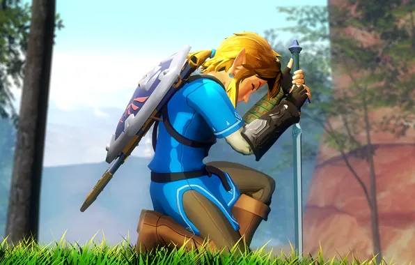 Picture sword, shield, Nintendo, link, legend of zelda