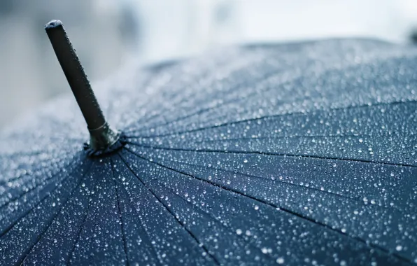 Drops, macro, umbrella, rain, umbrella