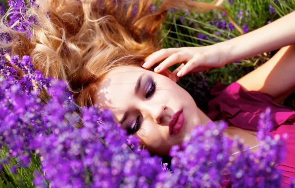 Picture field, girl, flowers, stay, lies, lavender