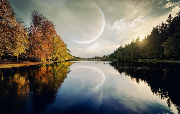 The sky, trees, nature, river, the moon