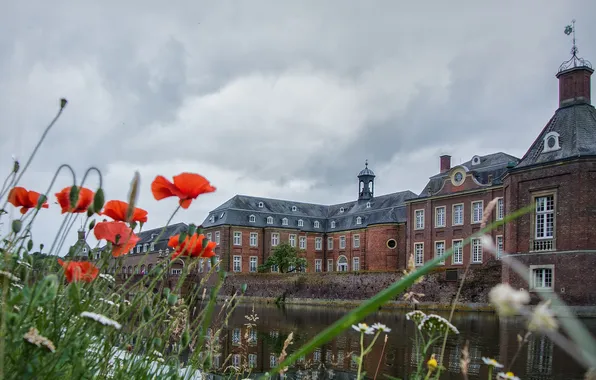 The sky, clouds, flowers, the city, river, home, channel