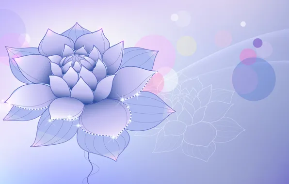 Picture flower, lilac, Lotus