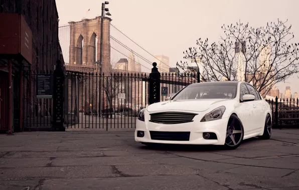 Picture Tuning, Infiniti, white, Infiniti, Tuning, stance, G37