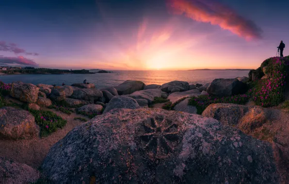 Picture sunset, flowers, stones, the ocean, coast, people, photographer, panorama