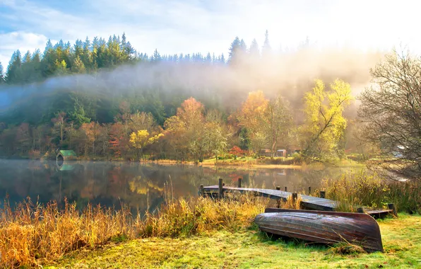 Autumn, forest, light, trees, fog, shore, glade, boat
