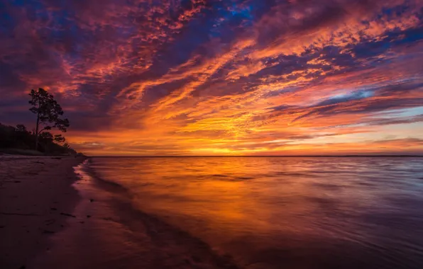 Picture sunset, nature, the ocean, shore, coast, beauty