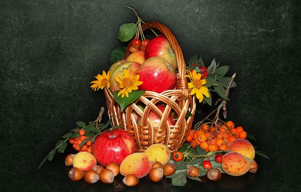 Nature, mood, basket, apples, beauty, nuts, beautiful, beautiful