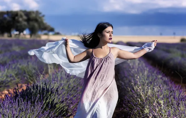Field, sexy, beauty, lavender, Saray Higueras