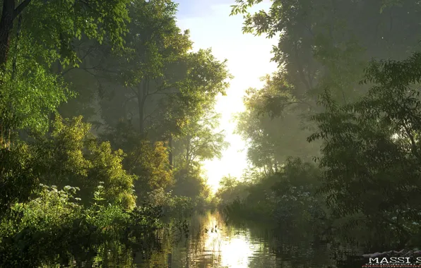 Nature, river, vegetation, Bank, side arm