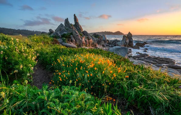 Picture rocks, coast, CA, USA, Carmel