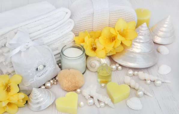 Flowers, soap, shell, flowers, bath, still life, candle, spa