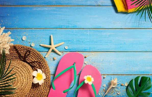 Beach, summer, stars, stay, hat, shell, summer, beach