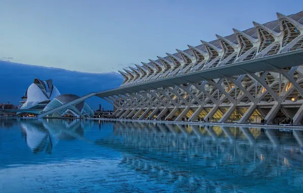 The city, Valencia, Valencia, City of Arts and Sciences