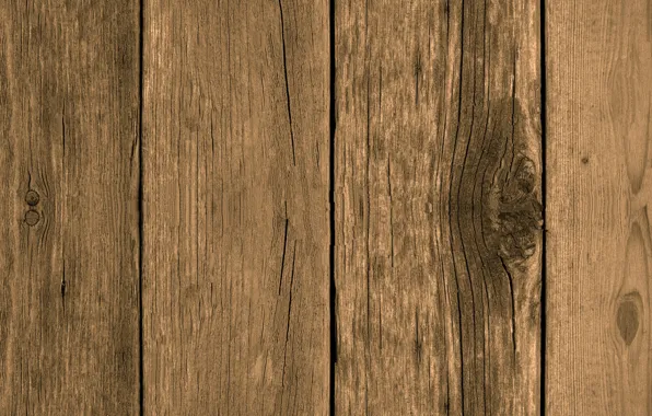 Tree, structure, Board