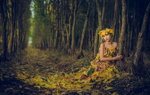 Forest, leaves, girl, Ivan Slavov