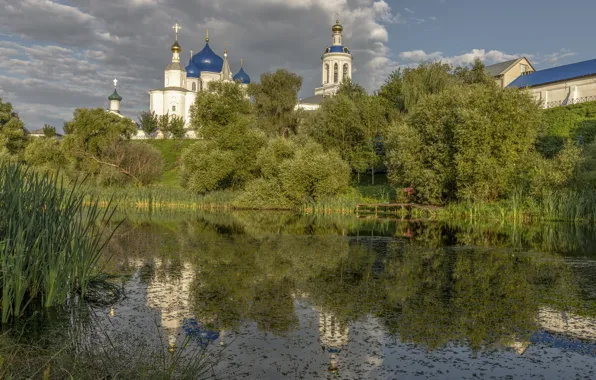 Picture summer, grass, trees, landscape, nature, village, the monastery, pond