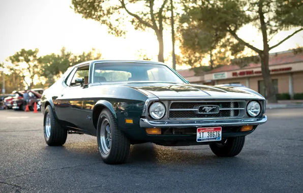 Picture retro, Mustang, Ford, classic, the front