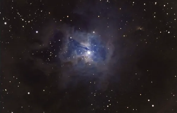 Nebula, Tsefey, Iris, in the constellation, reflective, accumulation, with multiple, star