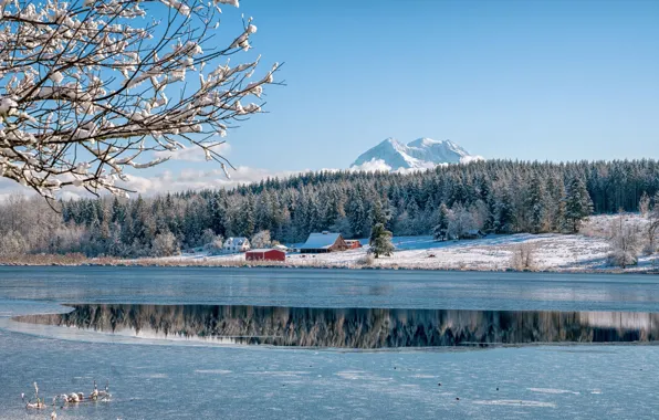 Ice, winter, forest, the sky, water, the sun, clouds, snow