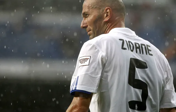 Sport, Football, Male, Real Madrid, Real Madrid, Player, Legend, Zinedine Zidane