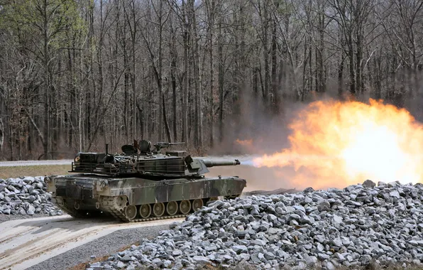 Trees, Fire, Stones, USA, Tank, M1A1, Tank, Abrams