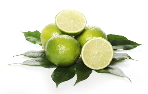 White, background, lime, citrus