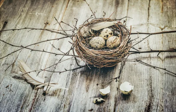 Picture background, socket, eggs